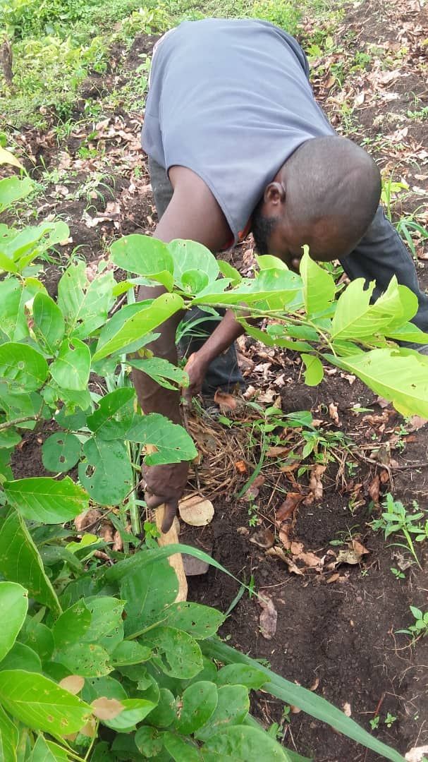Photo 59 - Génération Solidaire Togo