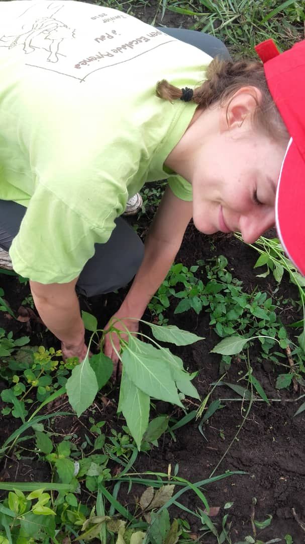 Photo 60 - Génération Solidaire Togo