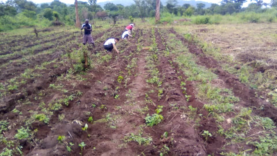 Photo 66 - Génération Solidaire Togo